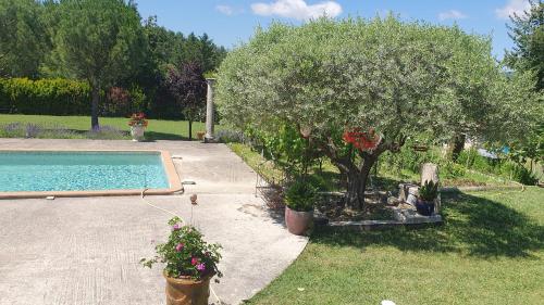 einen Garten mit einem Baum und einem Pool in der Unterkunft la chambrette in Lincel