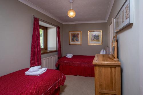 a bedroom with two red beds and a window at Blaenachddu in Capel-Ifan