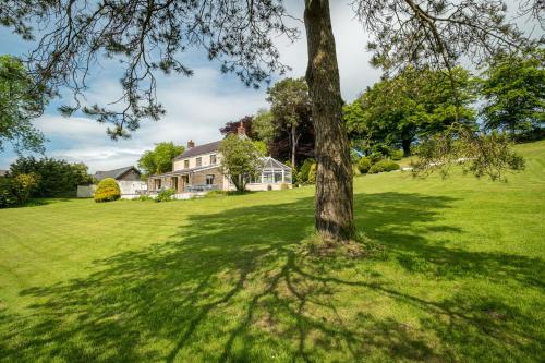 a tree in a field with a house at Blaenachddu in Capel-Ifan