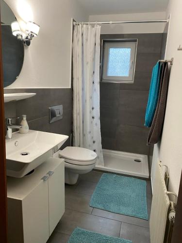 a bathroom with a toilet and a sink and a shower at Ferienwohnung Alpsteinweg in Wangen im Allgäu