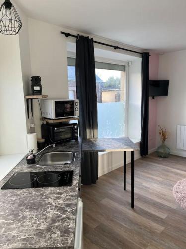 - une cuisine avec un comptoir et un évier dans la chambre dans l'établissement Le petit Tournebride, à Paimpol