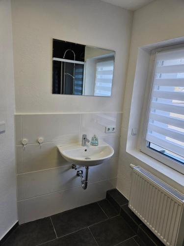 La salle de bains est pourvue d'un lavabo et d'un miroir. dans l'établissement An der Dorfeiche, à Hamm