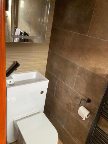 a bathroom with a toilet and a sink at G10 Rickardos Holiday Lets in Mablethorpe