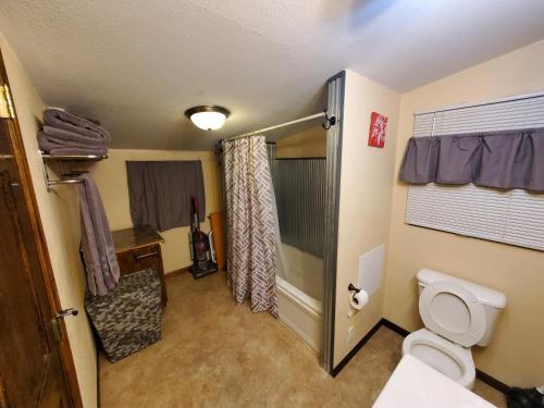 a bathroom with a toilet and a shower at The Garden House in Rapid City