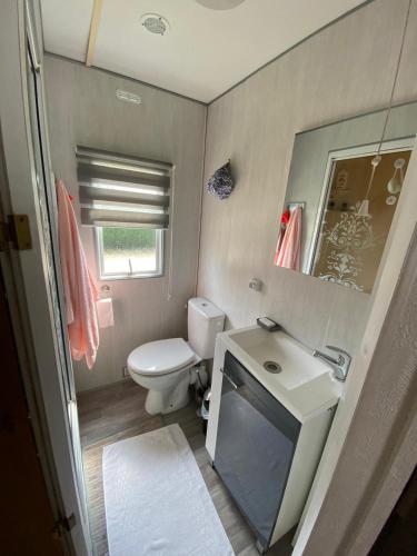 une petite salle de bain avec toilettes et lavabo dans l'établissement Mobil Home à la Pointe de Pordic, à Pordic