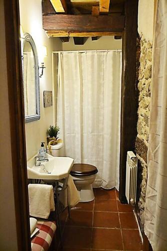 a bathroom with a toilet and a sink at Casa Valle del Lozoya in Rascafría