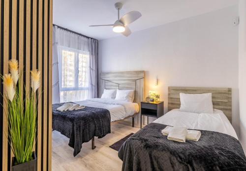 Inftour Apolo IV Apartamento