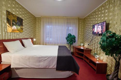 a hotel room with a bed and a tv at SPA Hotell Peetrimõisa Villa in Viljandi
