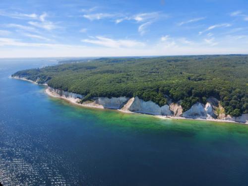 an aerial view of a beach with trees and water at Residenz Dünenstrasse in Binz