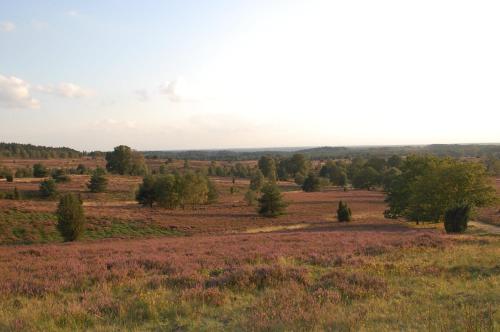 Příroda nedaleko bed and breakfast