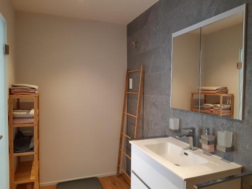 ein Bad mit einem Waschbecken und einem Spiegel in der Unterkunft Apartment Panorama am Walensee in Neubau-Villa in Obstalden