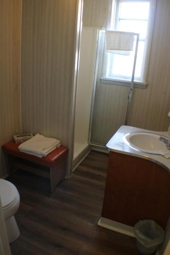 baño con lavabo y aseo y ventana en Historical Hotel - House of Ludington, en Escanaba
