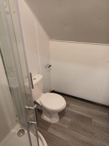 a bathroom with a toilet and a glass door at 188 marsh road in Luton
