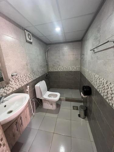 a bathroom with a toilet and a sink at Scarlet Luxury Camp Wadi Rum in Wadi Rum
