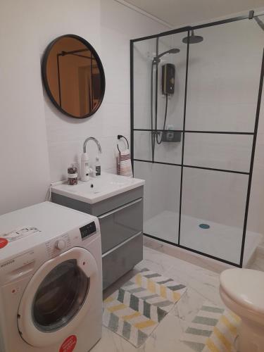 uma casa de banho com uma máquina de lavar roupa e um lavatório em Glastonbury town center-entire apartment em Glastonbury