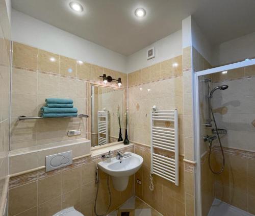 Vannituba majutusasutuses Appartment centrum