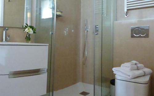 扎魯亞斯的住宿－EGONA- ZU9B Espectacular apartamento，浴室配有淋浴和带毛巾的卫生间。