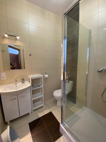 a bathroom with a shower and a sink and a toilet at Dom gościnny Jarek in Rowy