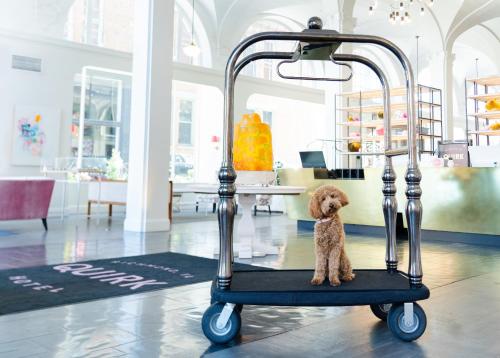 a teddy bear sitting on a cart in a room at Quirk Hotel Richmond in Richmond