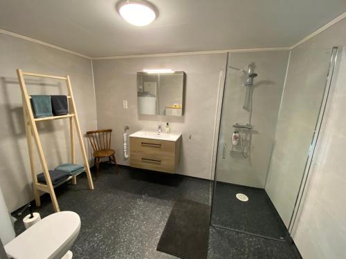 y baño con aseo, lavabo y ducha. en Heinåli apartment, en Isfjorden