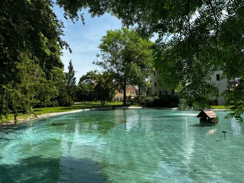 a river with a bench in the middle of it at Schloss Neckarbischofsheim in Neckarbischofsheim