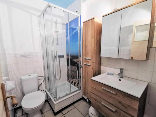 une salle de bain avec une douche, des toilettes et un lavabo dans l'établissement Résidence Les Sablons Et - Pièces 214, à Leucate