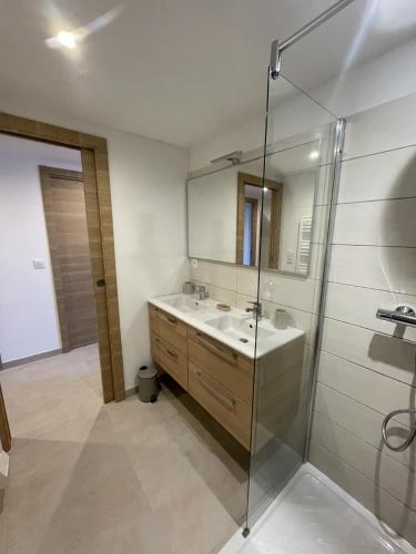 une salle de bain avec un lavabo et une douche en verre dans l'établissement Domaine DI AMUVRELLA, à Calvi