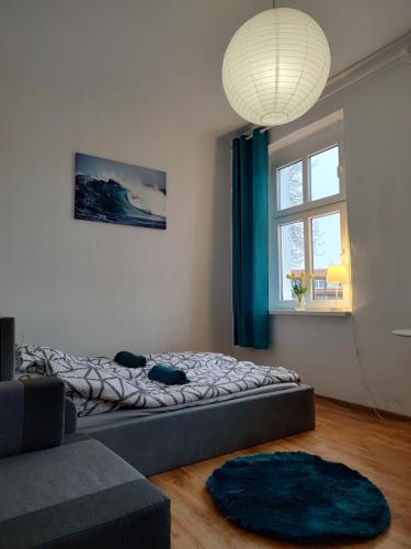 1 dormitorio con 1 cama en una habitación con ventana en Magnolia, en Toruń