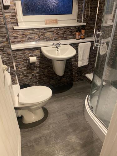 a bathroom with a toilet and a sink at 44 Gower holiday village Ty Gŵyr Cosy 2 bedroom Chalet in Swansea