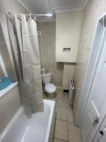 a bathroom with a toilet and a tub and a sink at 11 Chalvey Road east sl12ll in Slough