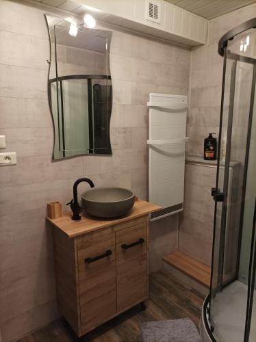 une salle de bain avec un lavabo et une douche dans l'établissement Au doux refuge, à Zimmersheim