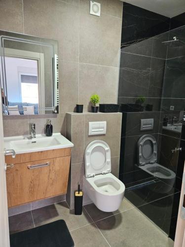 uma casa de banho com um WC, um lavatório e um chuveiro em BELIV apartman em Stari Banovci