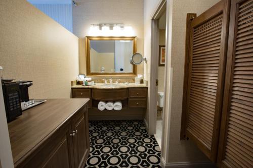 a bathroom with a sink and a mirror at Hilton Chicago/Northbrook in Northbrook