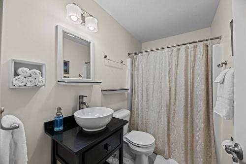 a bathroom with a sink and a toilet and a shower at Harbourside Hideout in New Bern