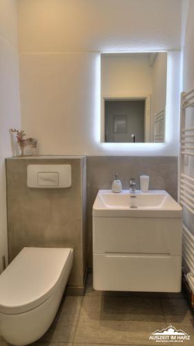 a bathroom with a sink and a toilet and a mirror at Auszeit-im-Harz Haus 1 Wohnung Hexenstübchen in Schierke