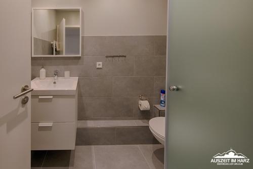 uma casa de banho com um lavatório e um WC em Auszeit-im-Harz Haus 2 Wohnung 1 em Schierke