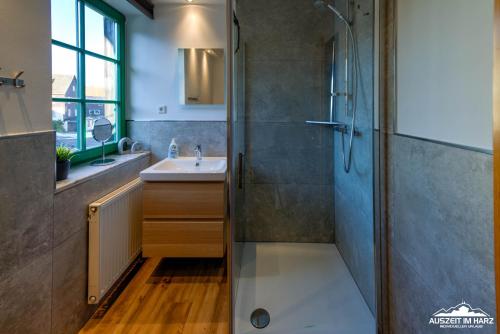 Ένα μπάνιο στο Auszeit-im-Harz Haus 5 Wohnung 21