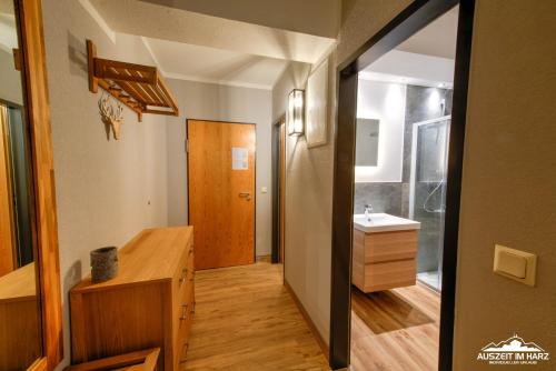 uma casa de banho com um lavatório e um espelho em Auszeit-im-Harz Haus 5 Wohnung 11 em Stiege