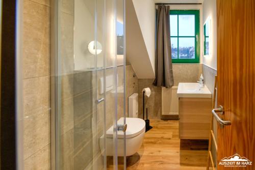 un baño con inodoro y lavabo en Auszeit-im-Harz Haus 5 Wohnung 33, en Stiege