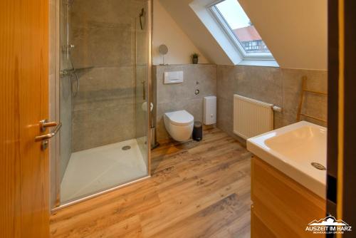 a bathroom with a shower and a toilet and a sink at Auszeit-im-Harz Haus 5 Wohnung 37 in Stiege