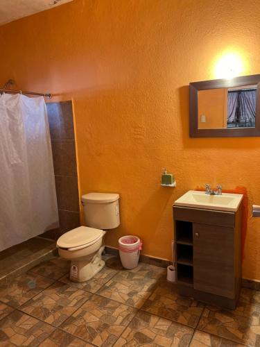 a bathroom with a toilet and a sink at Quinta don juanito in Monterrey