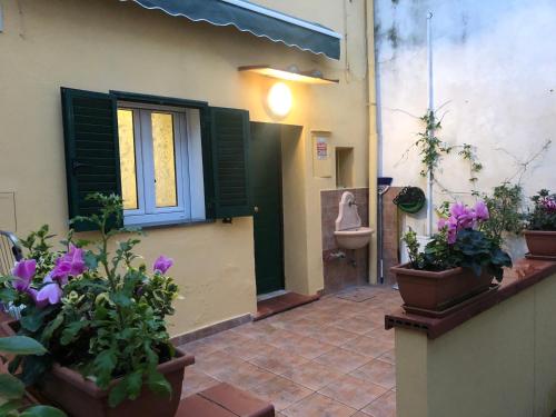 ein Badezimmer mit WC und einigen Topfpflanzen in der Unterkunft Casa nonna Tetta fronte mare 4 letti in Livorno