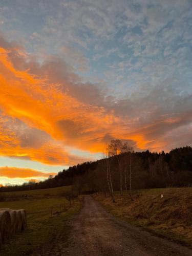 a dirt road in a field at sunset at Apartmány Nezdice na Šumavě in Nezdice