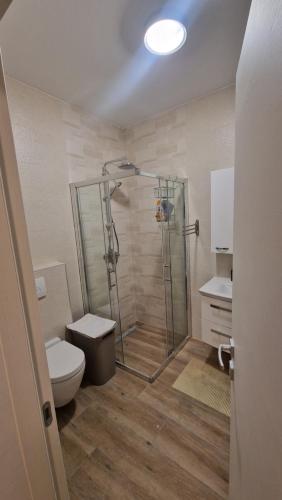 uma casa de banho com um chuveiro e um WC. em Villa Istra em Divšići