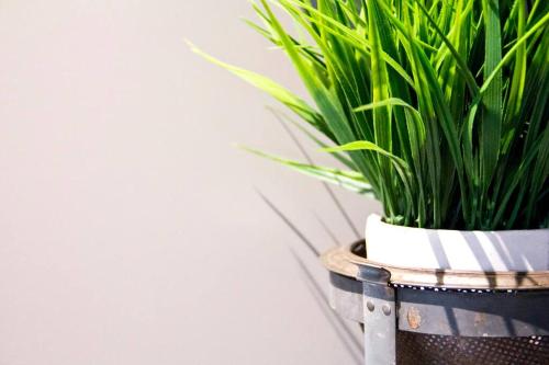 a black and white pot with a plant in it at Woodbine Warehouse Apartment in Toronto