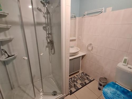 Koupelna v ubytování Gîte pour 2 avec parking, cuisine équipée et recharge pour véhicules électriques aux portes de Nancy - FR-1-584-119