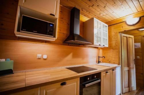 cocina con fregadero y microondas en Apartments with a parking space Donji Zvecaj, Karlovac - 22080 en Duga Resa