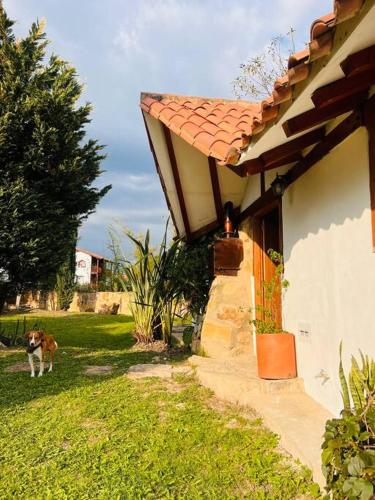 Κήπος έξω από το Casa campestre Hotel Turquesa