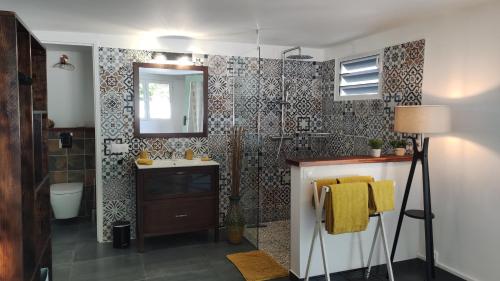 a bathroom with a sink and a shower with a mirror at Les Coulirooms - Gîte in Sainte-Anne