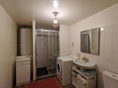 ein Badezimmer mit einem Waschbecken und einer Waschmaschine in der Unterkunft Gîte Le Menoux, 3 pièces, 4 personnes - FR-1-591-577 in Le Menoux